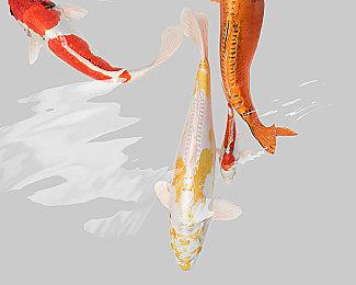 ARPG新作《Asterigos》公布官方预告片 2022年发售